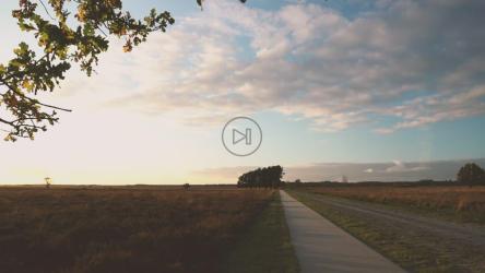 森林中的小路[免费商用]