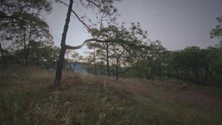 两个人慢跑时的自然景观[免费商用]