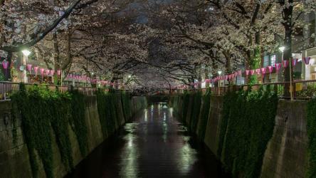 夜晚城市里的溪流[4K]