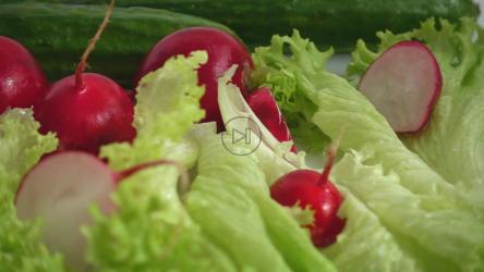 清洗沙拉原料[]