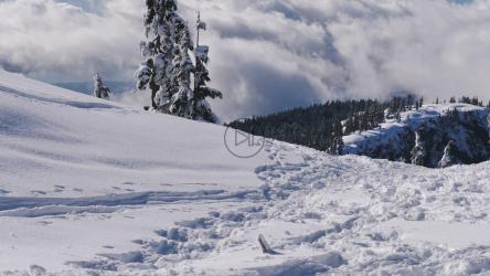 松林中被雪覆盖的小山[免费商用]
