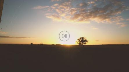 牧场日落[免费商用]