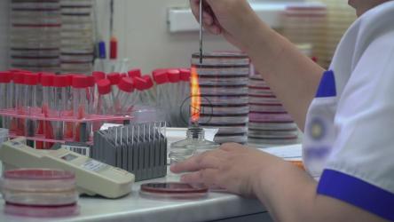 在实验室加热样本的人员[]