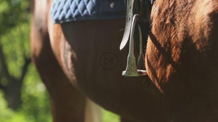 人骑马时马镫的特写[]