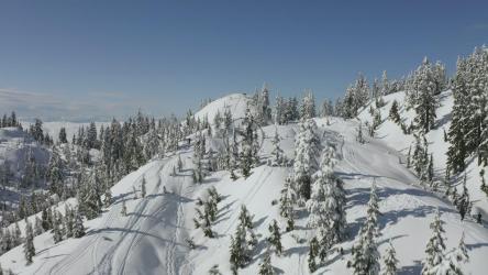 白雪皑皑的山脉和松林的顶部[4K免费商用]