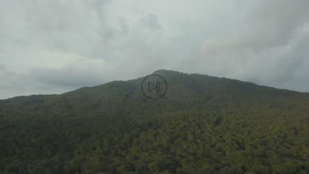 空中游览覆盖山脉的大片森林[4K免费商用]