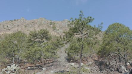 山脚下的干旱环境[免费商用]