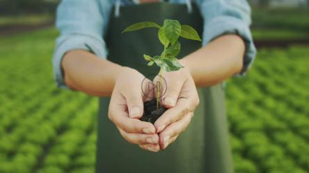 以生态农场为背景的手持浇水植物[]