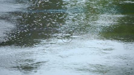 沥青中雨水的特写[]