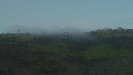 一对绿树成荫的小山[免费商用]