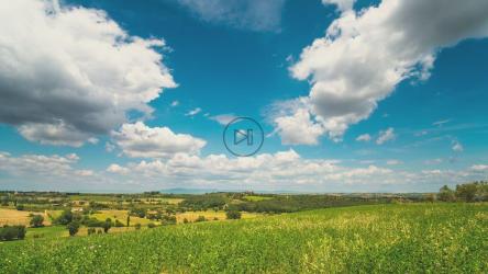 田野景观的时间流逝[4K]