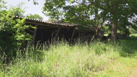 被时间摧毁的旧废弃小屋[免费商用]