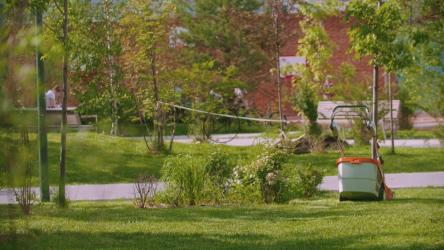 男孩在公园里做伸展运动[4K]