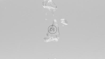 水中冒出的一系列气泡[免费商用]