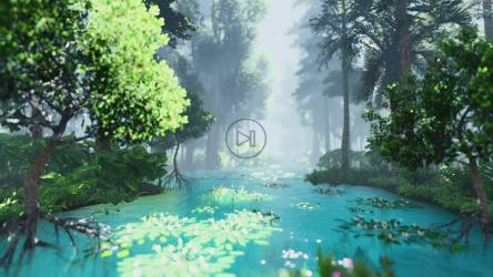 在明亮的虚拟丛林中航行[]