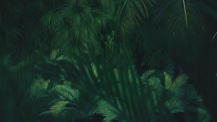 电脑丛林之旅[]