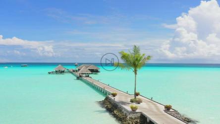 清澈水域中的码头景观[免费商用]