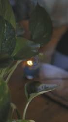 女人拿着香和蜡烛做瑜伽[免费商用竖屏]