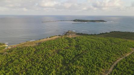 飞离一个小岛的海岸[4K]