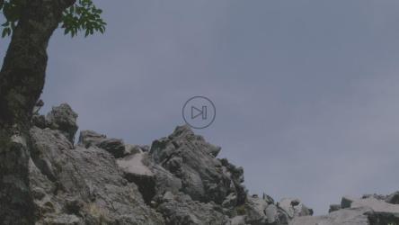 一段时间内干旱生态系统的天空[免费商用]