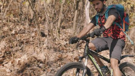 骑自行车的人穿过森林中的木桥[免费商用]