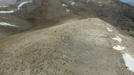 在山顶奔跑的野马[4K]