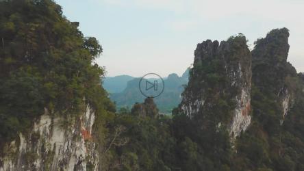 从上方拍摄的美丽的湿漉漉的绿色全景[4K免费商用]