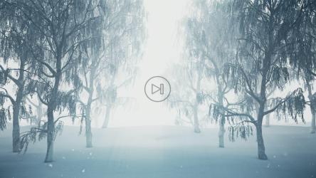 雪地森林3D之旅[4K]