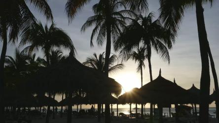 棕榈滩日落的时间流逝[4K]