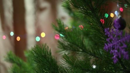 把小玩意挂在圣诞树上[]