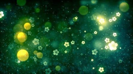 明亮的花朵和闪光，背景[]