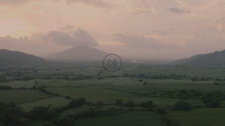 Misty sunrise over green fields[免费商用]