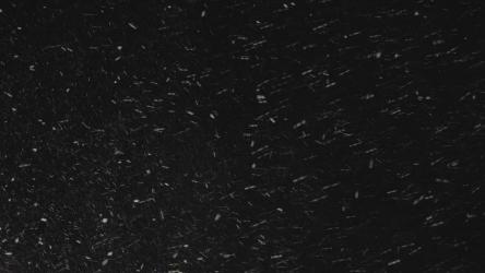 夜空中的暴风雪[4K]