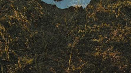 年轻女孩在乡村的画布上画画[]