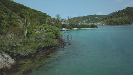 飞越美丽的热带景观[4K免费商用]