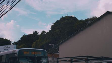 从街上看天空[免费商用]