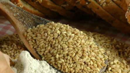 Ingredients to prepare whole wheat bread[4K]