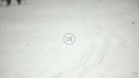 情侣在雪地里滑雪[]