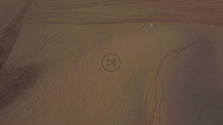 Tourist beach covered with chairs[4K]