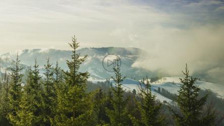 冬季森林上空的雾，延时[4K]
