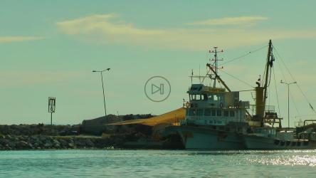 Fishing boat anchored on the coast[]