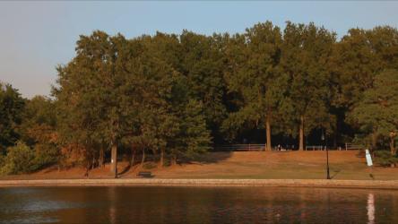 人们在公园里散步的时间流逝[]