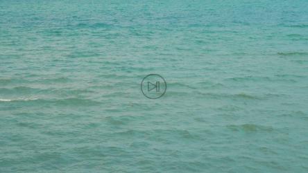 美丽海滩的夏天[4K]