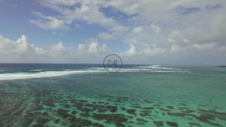 Beautiful ocean with waves breaking[4K]