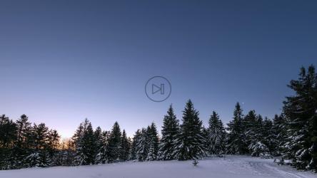 森林里日出时的晴朗天空[4K]