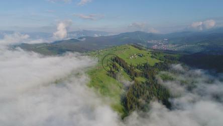 飞越云雾覆盖的森林[4K]