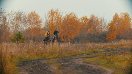 人们在森林里骑马奔驰[4K]