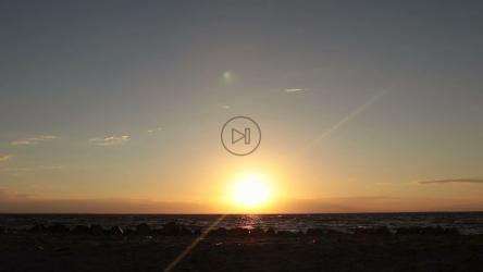 带着围巾在风中奔跑[]