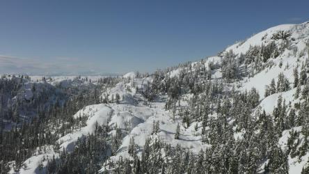 白雪松林中的救济[免费商用]