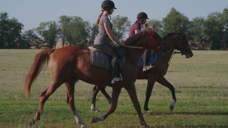 两个年轻的骑手骑马奔驰[]